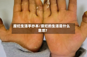 糜烂生活手抄本/糜烂的生活是什么意思?