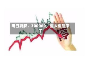 明日复牌，300069，重大重组来了