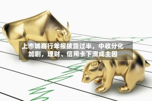 上市城商行年报披露过半，中收分化加剧，理财、信用卡下滑成主因
