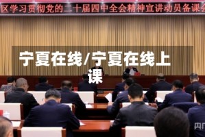 宁夏在线/宁夏在线上课