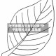 叶子画图片大全500张/叶子画图片大全 简笔画