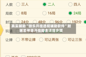 真实辅助“微乐开挂透视辅助软件”附辅助神器开挂脚本详细步骤