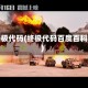 终极代码(终极代码百度百科)