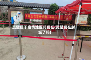 灵璧属于疫情地区吗现在(灵璧现在封城了吗)