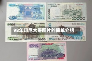 98年印尼大屠图片的简单介绍