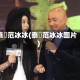 泰囧范冰冰(泰囧范冰冰图片)