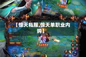 【惊天私服,惊天单职业内购】