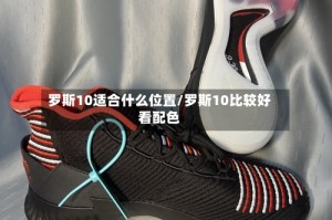 罗斯10适合什么位置/罗斯10比较好看配色