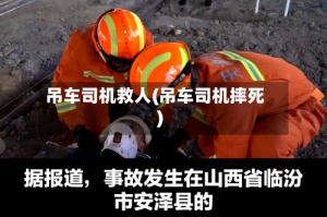 吊车司机救人(吊车司机摔死)