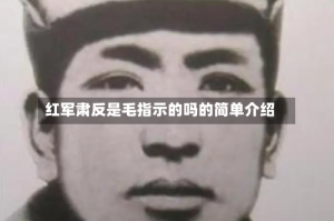 红军肃反是毛指示的吗的简单介绍