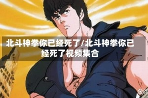北斗神拳你已经死了/北斗神拳你已经死了视频集合