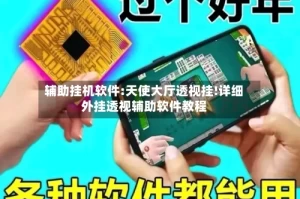 辅助挂机软件:天使大厅透视挂!详细外挂透视辅助软件教程