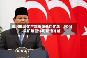 印尼能源矿产部重拳处罚矿企，50份采矿经营许可证遭冻结
