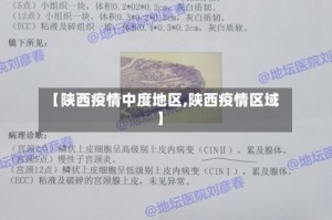 【陕西疫情中度地区,陕西疫情区域】