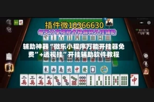 辅助神器“微乐小程序万能开挂器免费”+透视挂”开挂辅助软件教程
