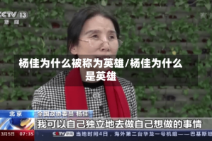 杨佳为什么被称为英雄/杨佳为什么是英雄