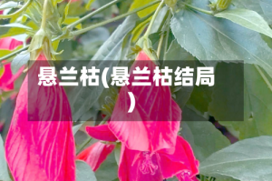 悬兰枯(悬兰枯结局)
