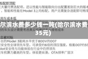 哈尔滨水费多少钱一吨(哈尔滨水费335元)