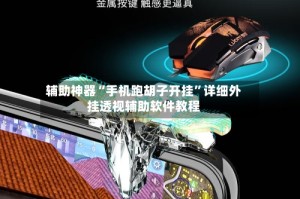 辅助神器“手机跑胡子开挂”详细外挂透视辅助软件教程