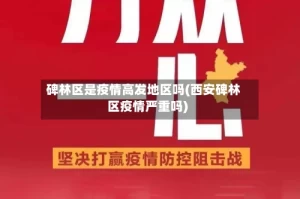 碑林区是疫情高发地区吗(西安碑林区疫情严重吗)
