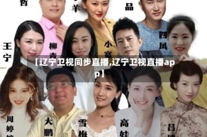 【辽宁卫视同步直播,辽宁卫视直播app】