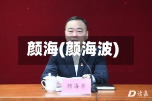 颜海(颜海波)