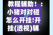教程辅助！:小猪对对碰怎么开挂!开挂(透视)辅助神器