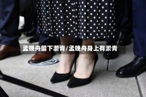 孟晚舟留下淤青/孟晚舟身上有淤青