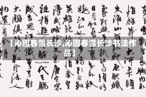 【沁园春雪长沙,沁园春雪长沙书法作品】