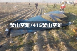 釜山空难/415釜山空难