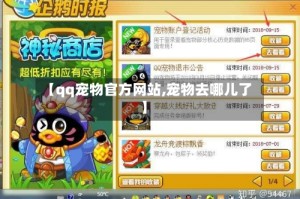 【qq宠物官方网站,宠物去哪儿了】