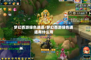 梦幻西游绿色通道/梦幻西游绿色通道有什么用