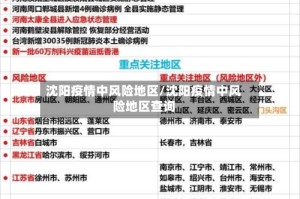沈阳疫情中风险地区/沈阳疫情中风险地区查询