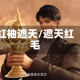 红袖遮天/遮天红毛