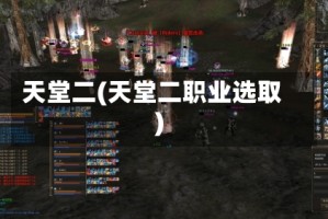 天堂二(天堂二职业选取)