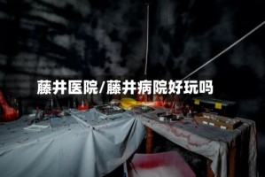 藤井医院/藤井病院好玩吗