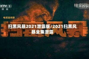 扫黑风暴2021泄露版/2021扫黑风暴全集泄露
