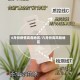 6月份疫情高危地区/六月份高风险地区