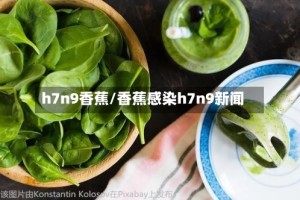 h7n9香蕉/香蕉感染h7n9新闻