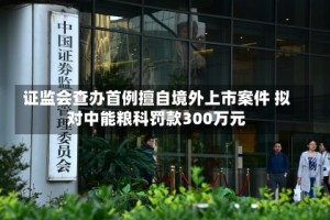 证监会查办首例擅自境外上市案件 拟对中能粮科罚款300万元