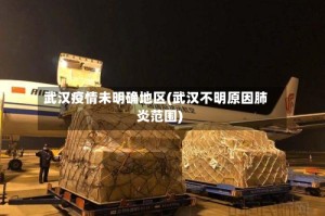武汉疫情未明确地区(武汉不明原因肺炎范围)
