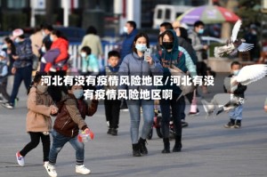 河北有没有疫情风险地区/河北有没有疫情风险地区啊