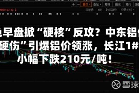 有色早盘掀“硬核”反攻？中东铝供应“硬伤”引爆铝价领涨，长江1#铜小幅下跌210元/吨！