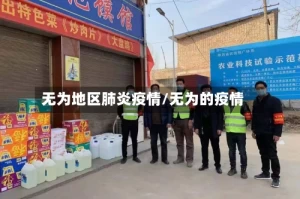 无为地区肺炎疫情/无为的疫情