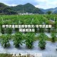 毕节织金地区疫情情况/毕节织金新闻最新消息