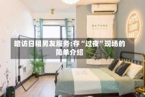 暗访日租男友服务:存“过夜”现场的简单介绍