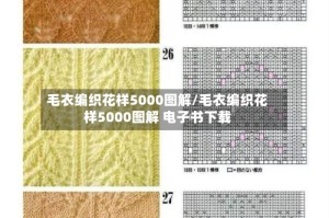 毛衣编织花样5000图解/毛衣编织花样5000图解 电子书下载
