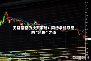 另辟蹊径的投资策略：同行争相取经的“出格”之道