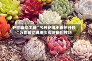 开挂辅助工具“今日花牌小程序开挂”万能辅助详细步骤与使用技巧