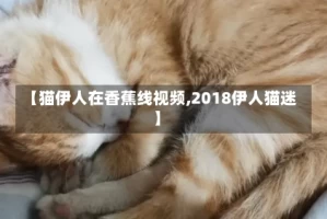 【猫伊人在香蕉线视频,2018伊人猫迷】